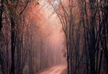 2025云开体育官网克洛普官方确认将加盟德国国家队，领军2022年世界杯霸业!