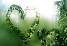 2025开云体育入口客服北京国安客场告负，球队情绪不佳，需要调整备战下一场