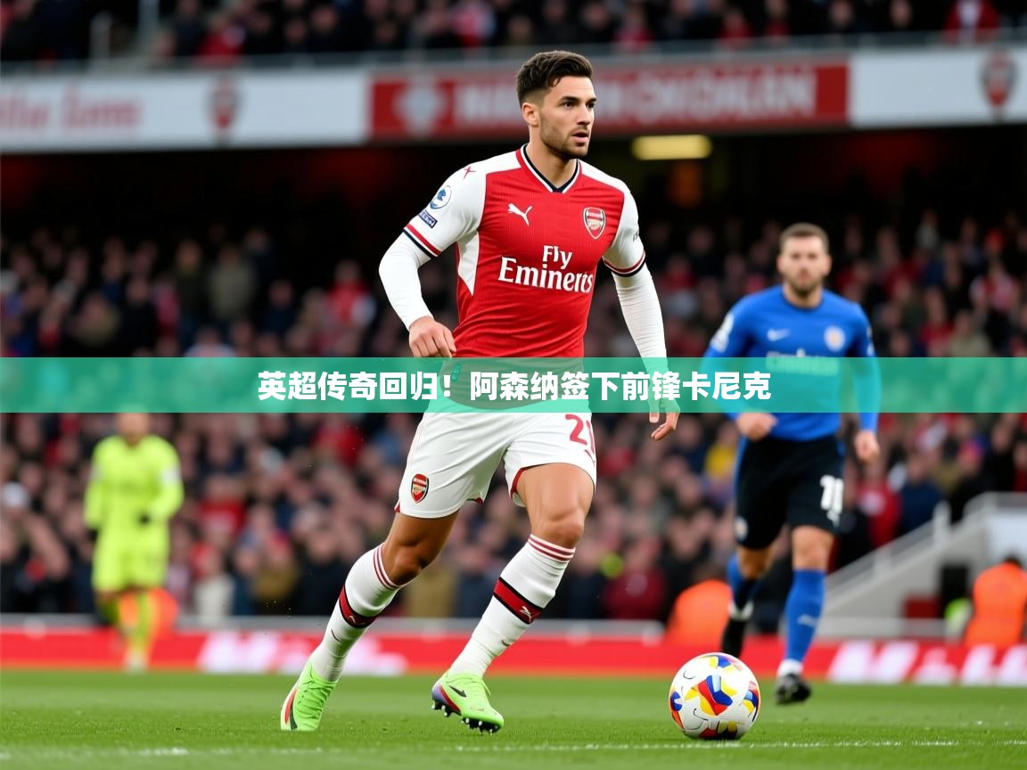 2025开云体育app安装英超传奇回归！阿森纳签下前锋卡尼克